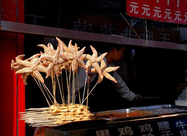 Những con sao biển được xiên trên chiếc que để chuẩn bị chiên khi có khách mua ở Bắc Kinh, Trung Quốc.Ảnh của Liz Chivvis.